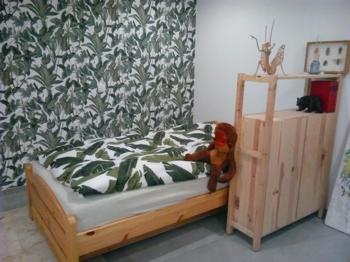 Ferienwohnung Coco 哈尔滕 外观 照片