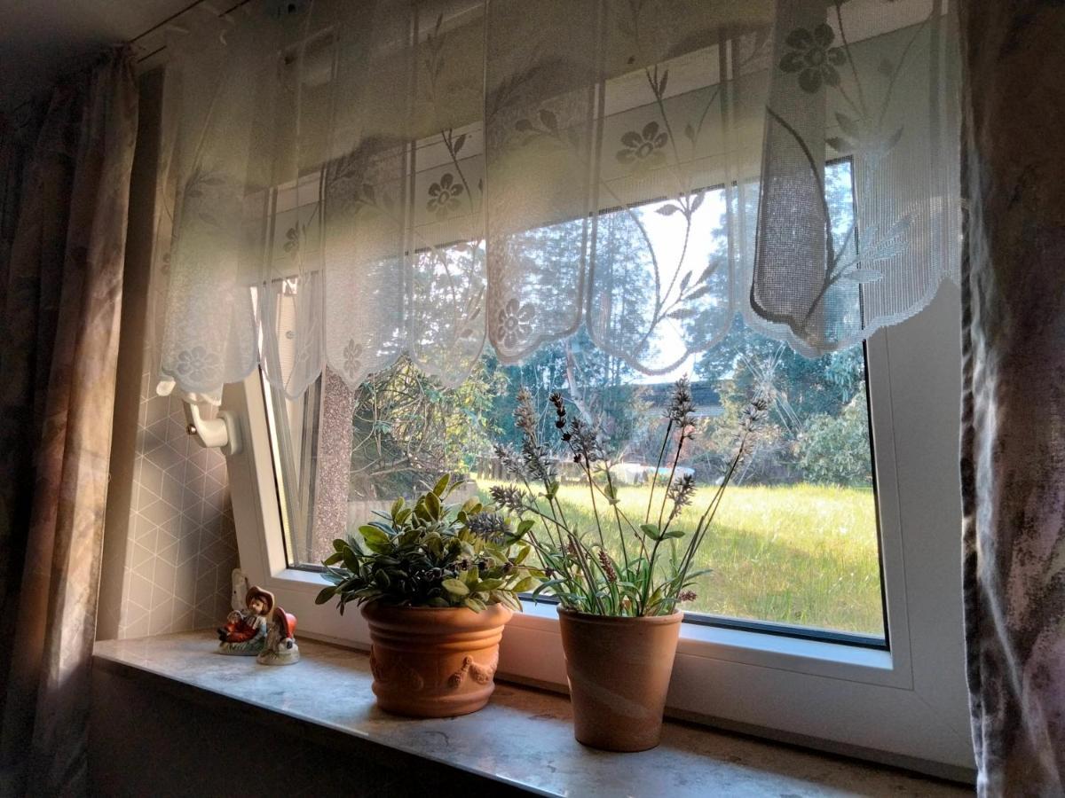 Ferienwohnung Coco 哈尔滕 外观 照片
